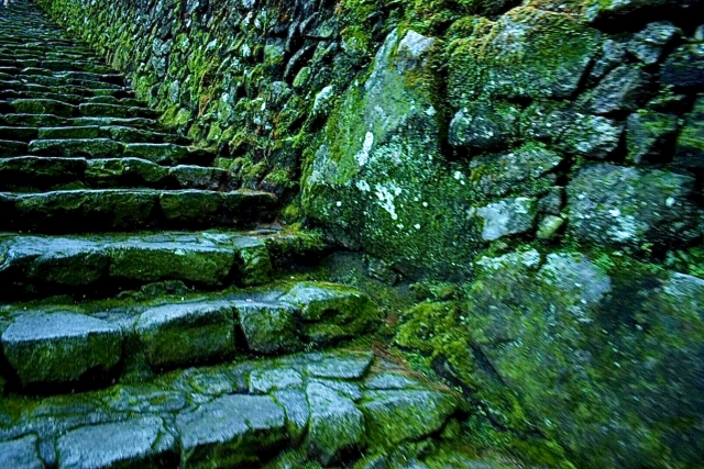 神社の石段